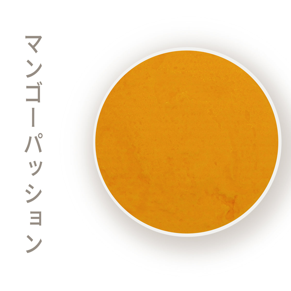 ハマちゃんおすすめパック（８個セット）